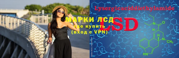 дживик Вязьма