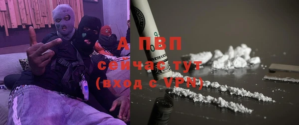 дживик Вязьма