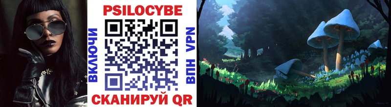 Псилоцибиновые грибы мухоморы  где купить наркотик  Жигулёвск 